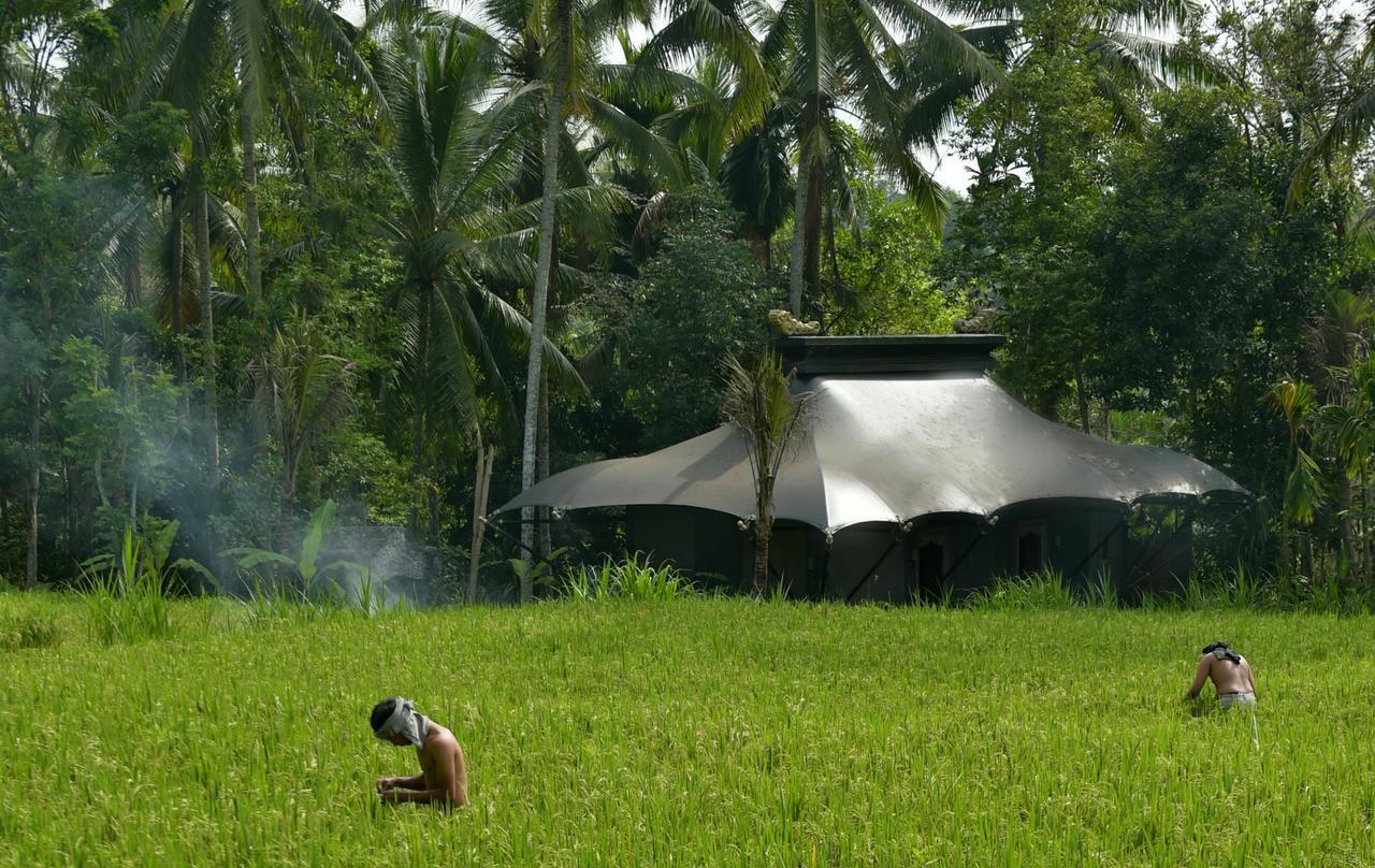 Capella Ubud, Bali Εξωτερικό φωτογραφία