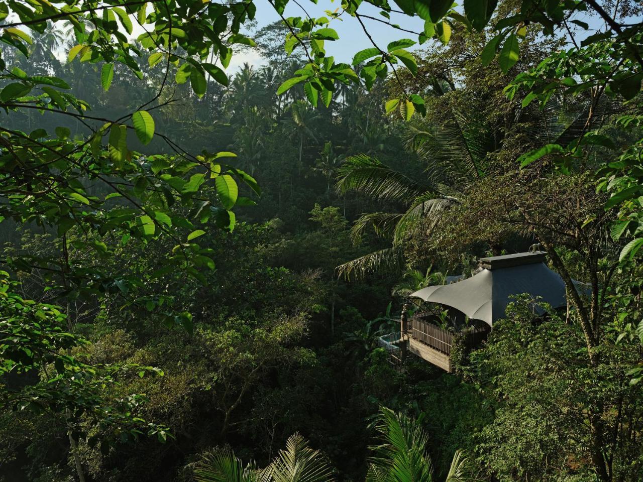 Capella Ubud, Bali Εξωτερικό φωτογραφία